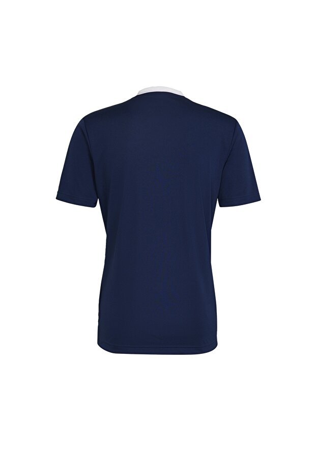 Entrada 22 Forma - 6