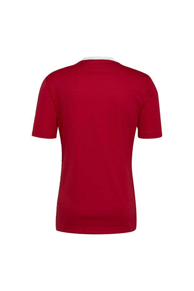 Entrada 22 Forma - 4