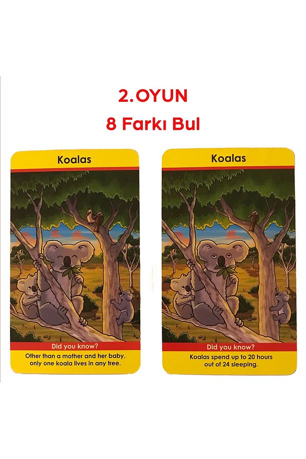 Brainbox Seksek Hayvanlar - Bounce Animals - 4