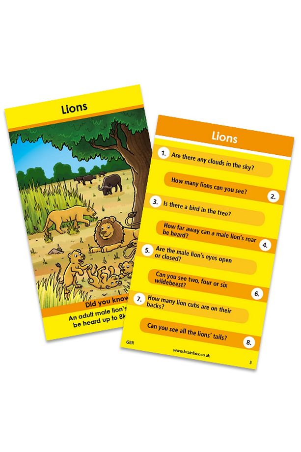 Brainbox Seksek Hayvanlar - Bounce Animals - 3