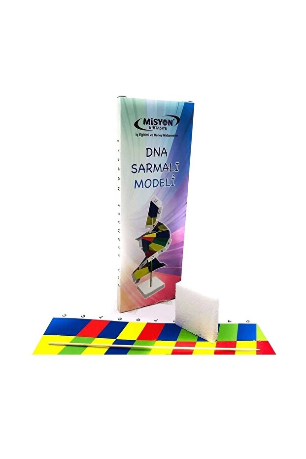 Dna Sarmalı Modeli Deney Seti - 1