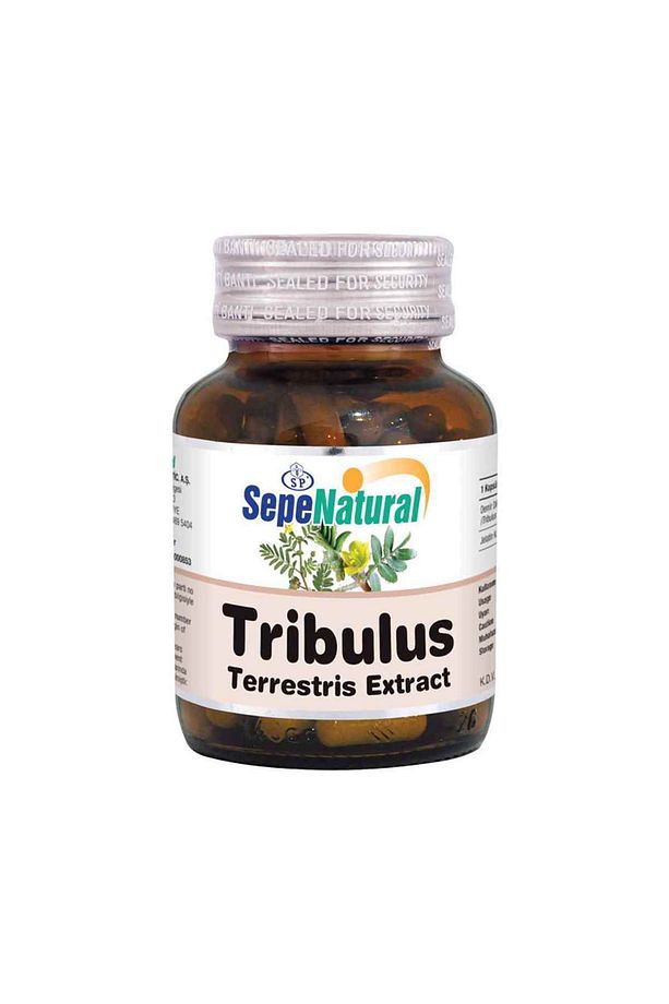 Tribulus Extract 90 Kapsül 480 Mg Demir Dikeni Ekstrakt Ekstre - 1