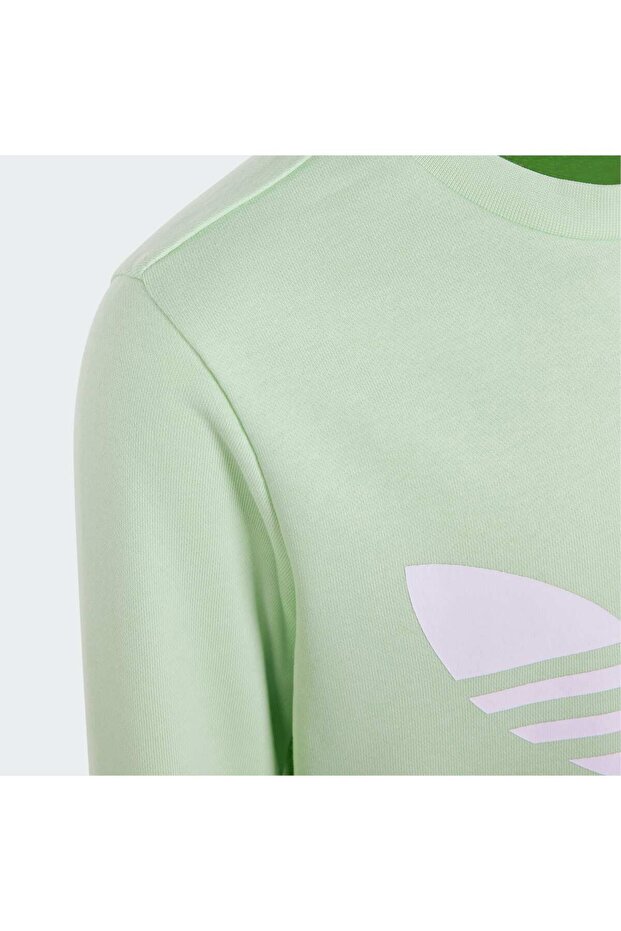 Trefoil Crew Sweatshirt - 5