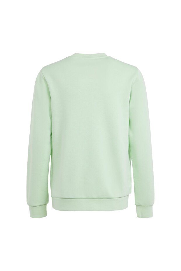 Trefoil Crew Sweatshirt - 4
