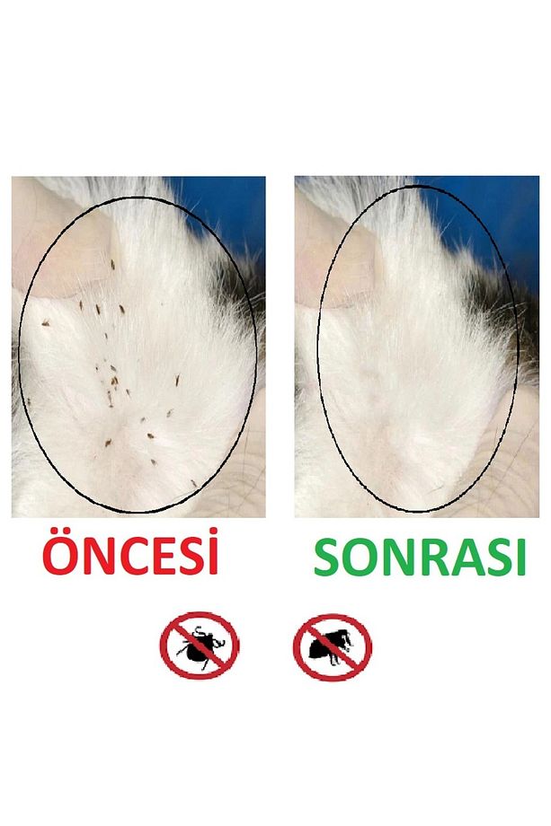 Köpek Ve Kedi Blt-Plre Bakım Seti 3'lü Set (Şampuan-Damla-Tablet) - 5