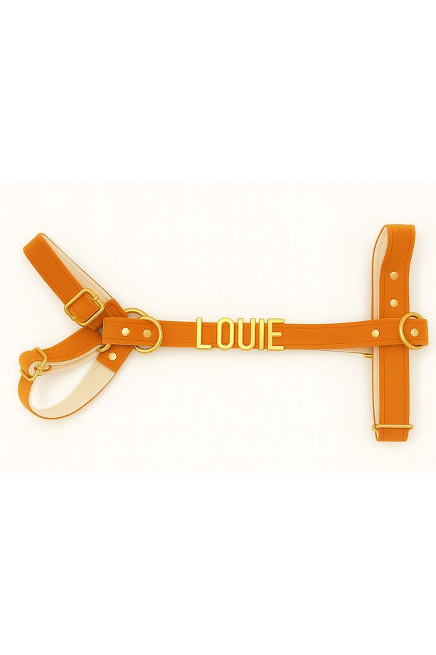 Kişiye Özel Isimli H Model Ayarlanabilir Kadife Köpek Göğüs Tasması - XS-S-M-L+ Gezdirme Kayışı Set - 2