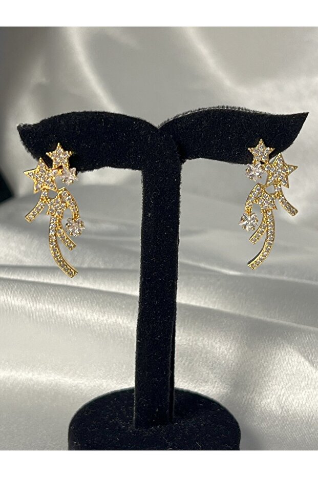 Vip star earring - 2