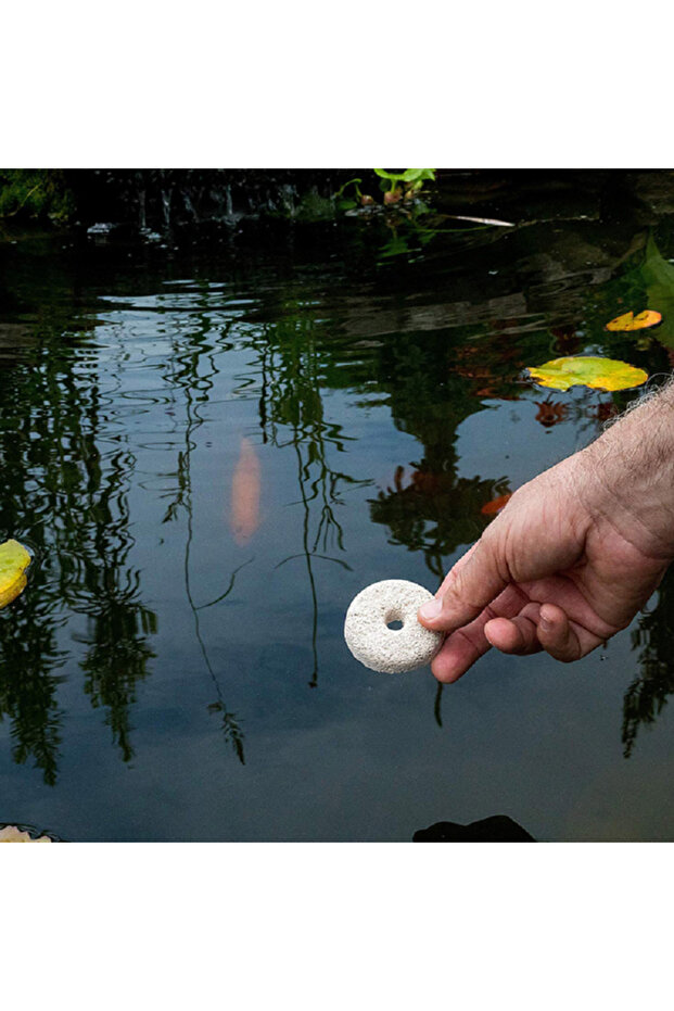 طقم مفارش سرير موسكيتو دانكس بيج مكون من 6 قطع - 2