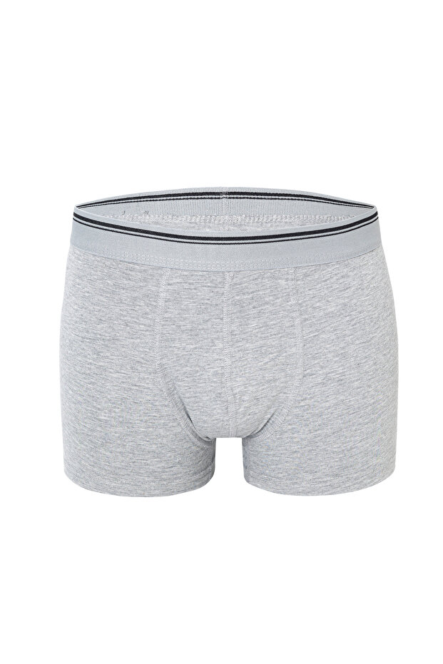 Erkek Boxer - 2