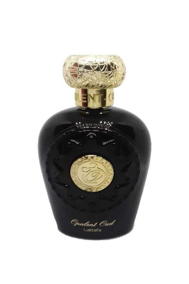 OPULENT OUD Men's Edp 100 مل 6291107450438 - 2