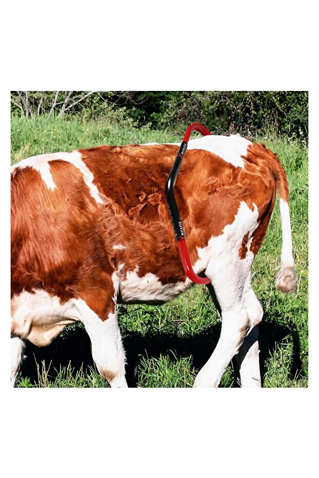 Tekmesavar (Boyalı) - 4