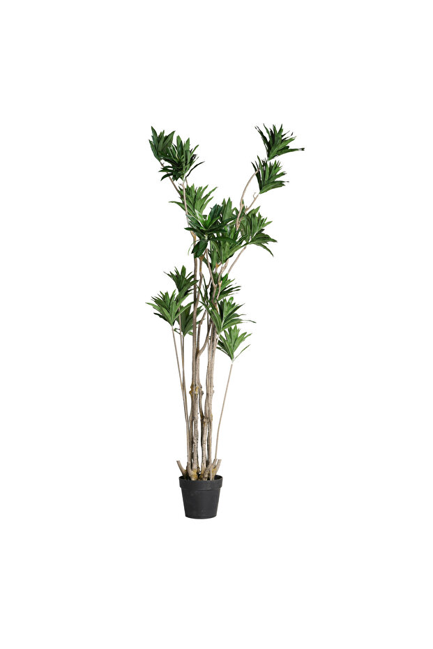 1.8m Artificial Yucca Tree - 1