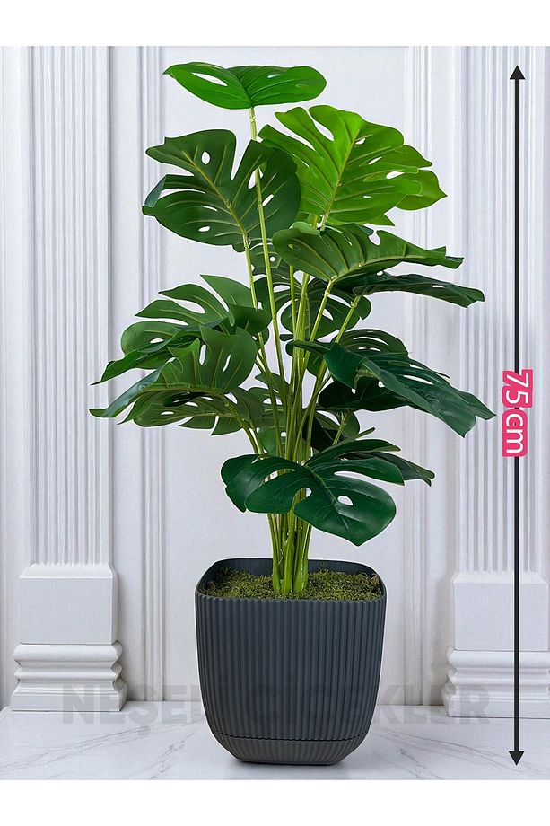 Yapay Ağaç Monstera Deve Tabanı Bitkisi 18 Yaprak 75cm Plastik Saksıda Yapay Salon Çiçeği Hediyelik - 4