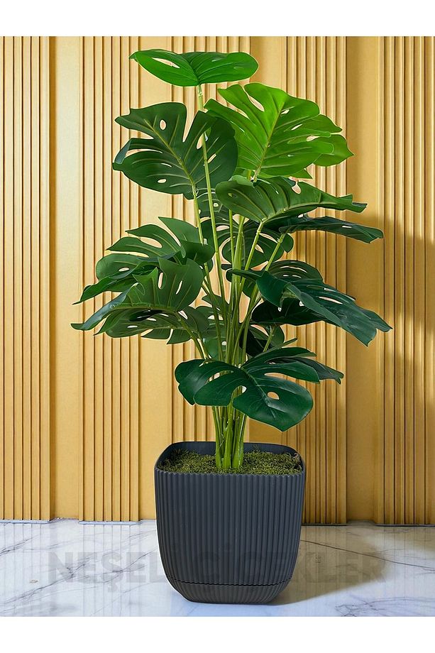 Yapay Ağaç Monstera Deve Tabanı Bitkisi 18 Yaprak 75cm Plastik Saksıda Yapay Salon Çiçeği Hediyelik - 1