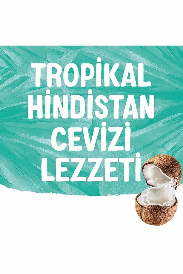 Hindistan Cevizi Sütü 1 L Vegan Laktozsuz Bitkisel Bazlı - 8