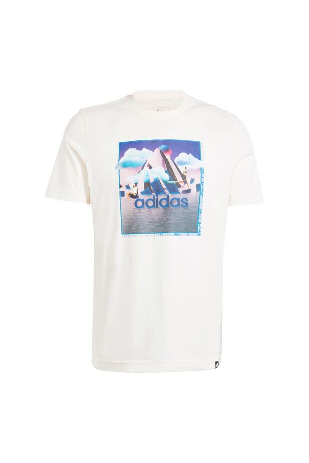 Landscape Badge Graphic Tee - 4