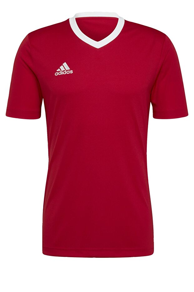 Entrada 22 Forma - 7