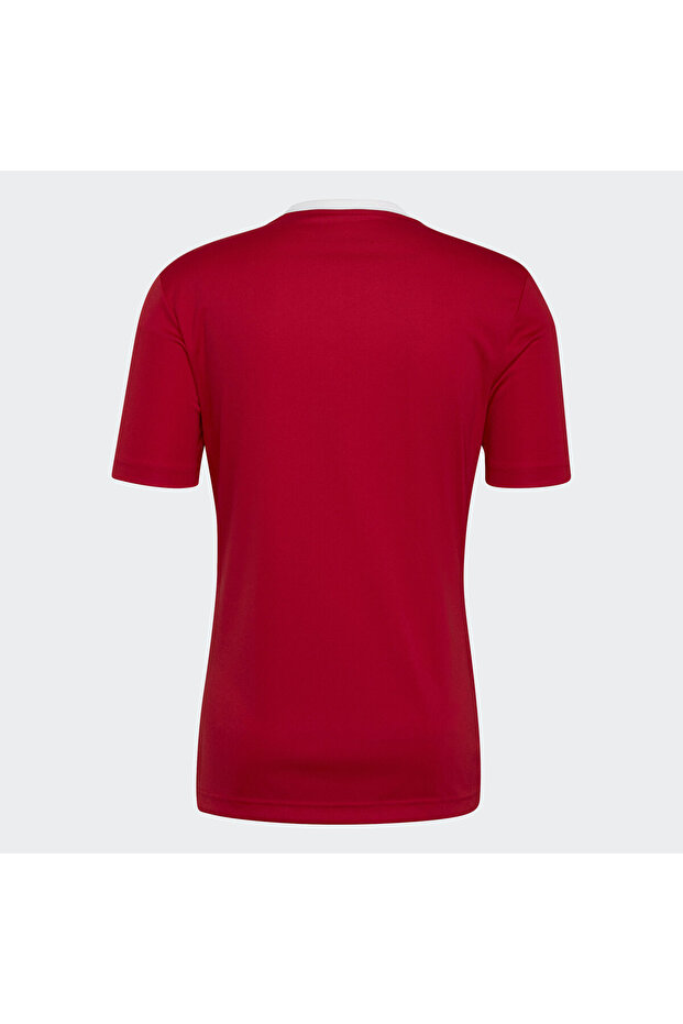 Entrada 22 Forma - 2