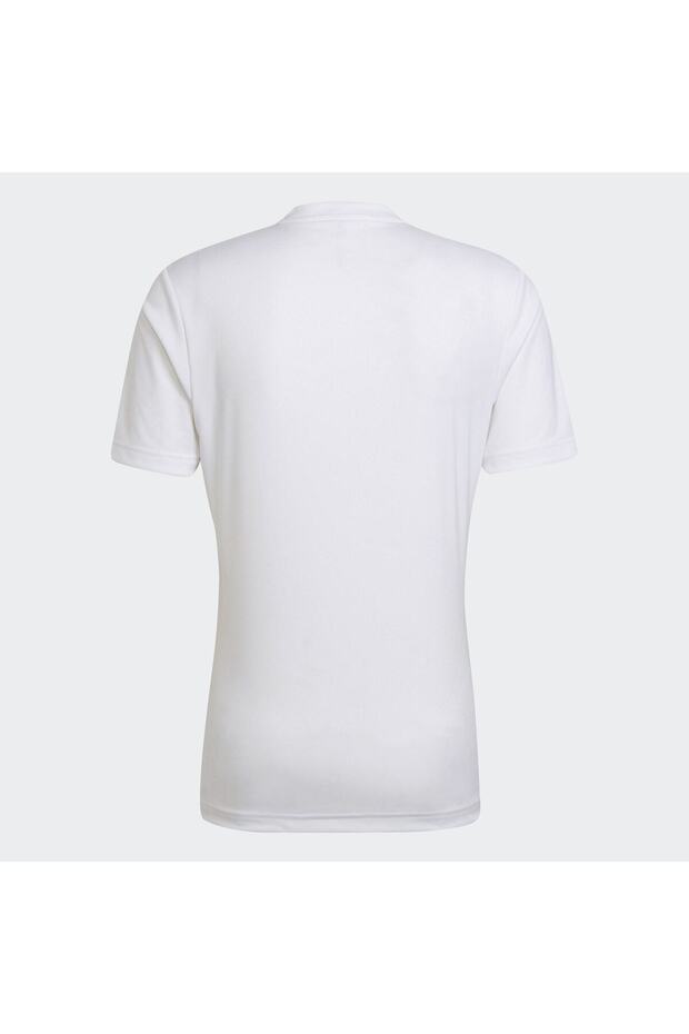 Entrada 22 Forma - 2