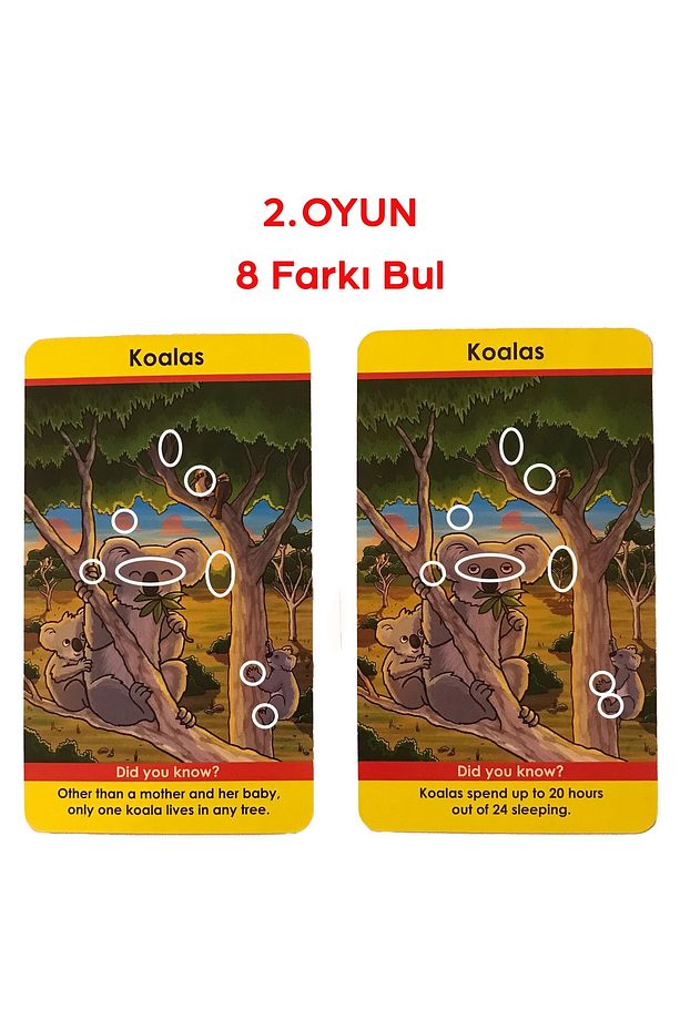 Brainbox Seksek Hayvanlar - Bounce Animals - 5