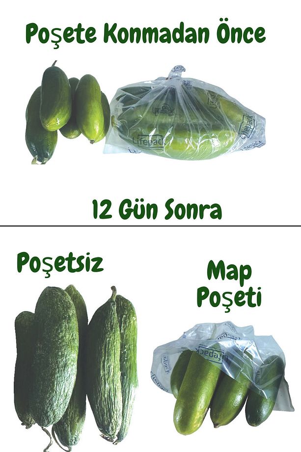 20 Adet Map Poşeti Meyve Ve Sebzeleri Taze Tutan Gıda Saklama Poşeti Modifiye Atmosfer Poşeti - 7