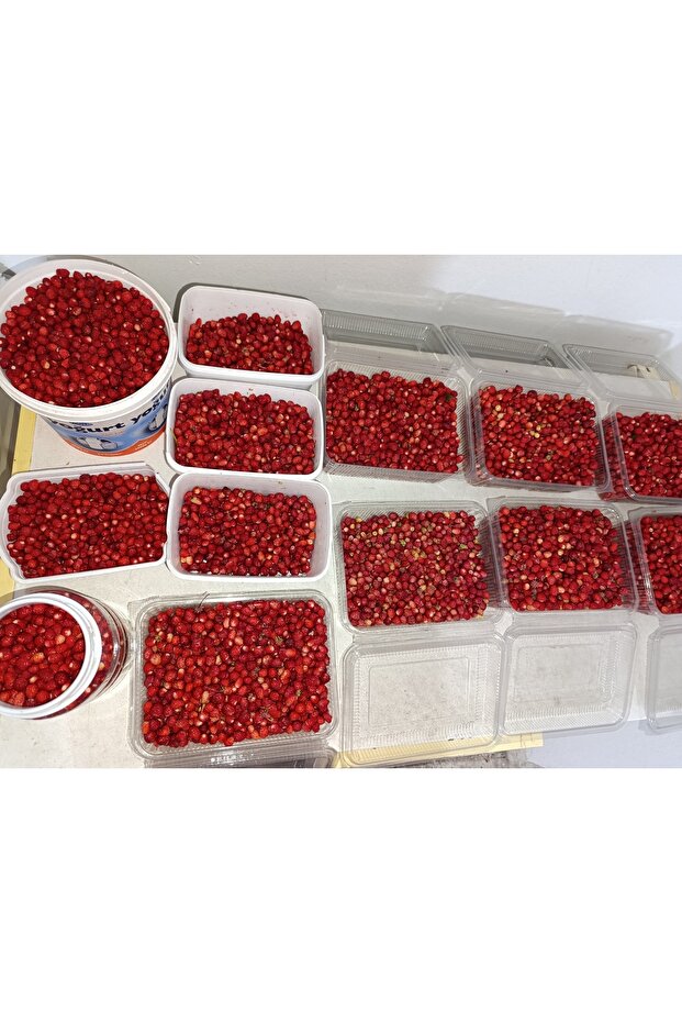 Dağ Çileği Reçeli 425 CC - 4