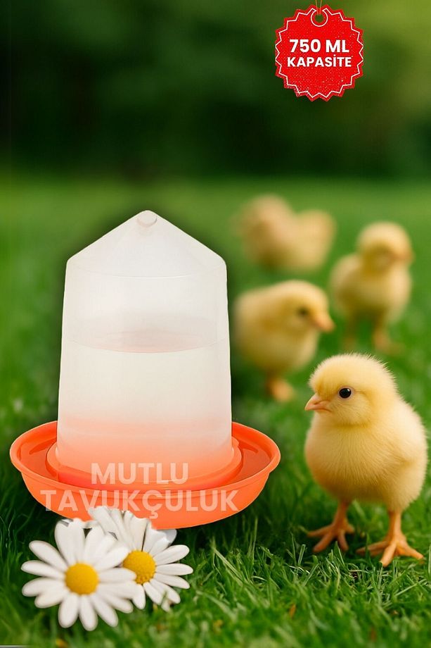 Civciv Başlangıç 2 Adet Suluk Ve 2 Adet Yemlik Takım 750 ml Keklik Güvercin Suluğu Bıldırcın Yemliği - 7