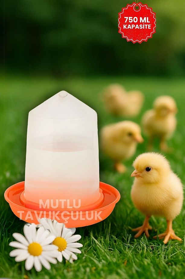 2 Adet Civciv Başlangıç Suluğu Askılı Suluk 750 ml Kaz Ördek Güvercin Salma Keklik Hint Horozu Süs - 7