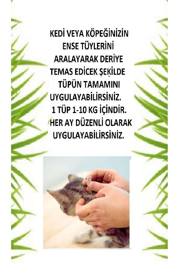 Köpek Ve Kedi Blt-Plre Bakım Seti 3'lü Set (Şampuan-Damla-Tablet) - 4