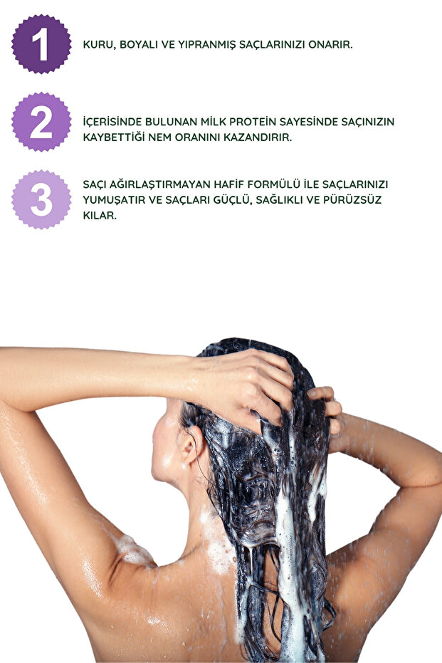 Kuru, Boyalı ve Yıpranmış Saçlar için Dökülme Karşıtı Canlandırıcı Şampuan 400 ml - 4