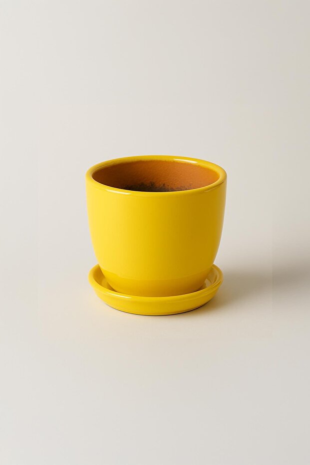Tabaklı Sarı Çömlek Saksı 19x19 Cm - 2
