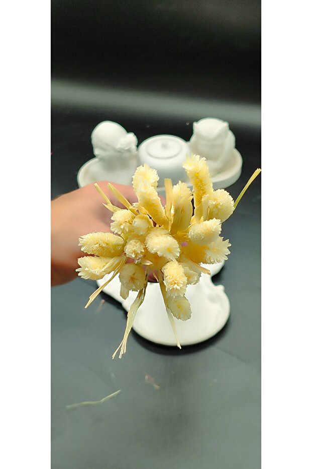 KUŞ OTU - Ev Dekoru Bitkileri Vazoda Kullanılan Kuru Çiçekler Süsleme Çiçekleri Doğal Bitkiler - 1