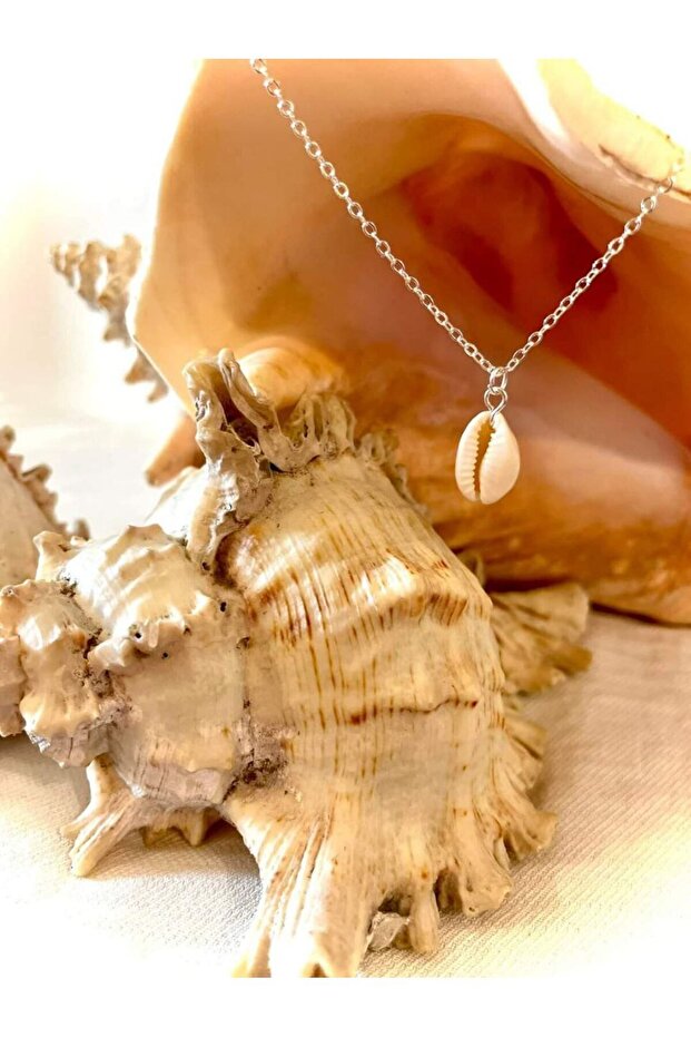 Natural Beauty: Stylish Necklace with Seashells