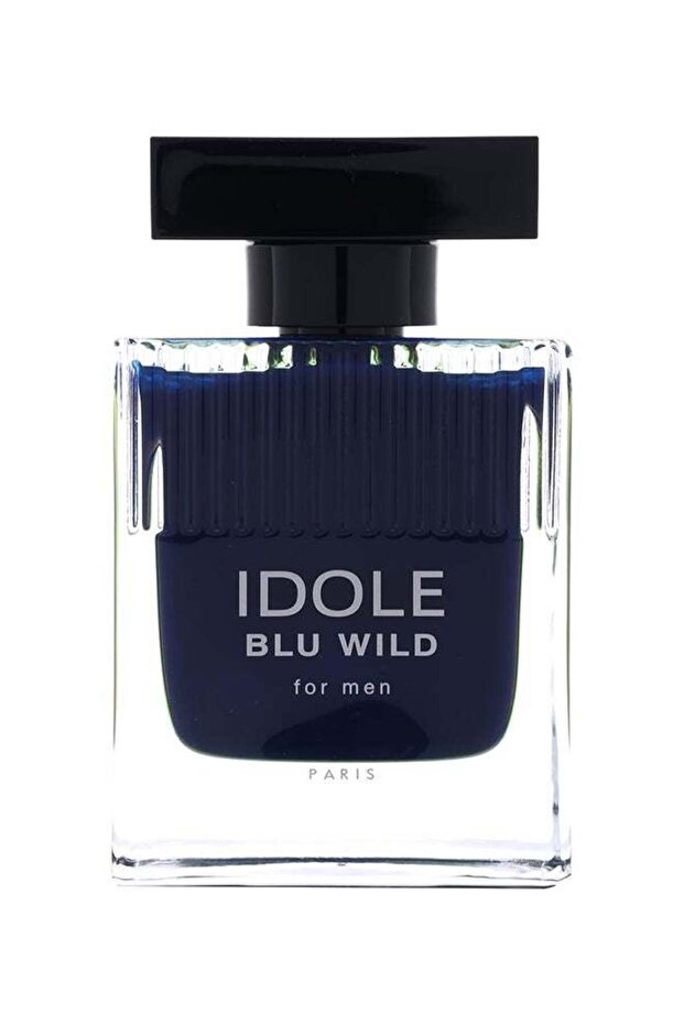 عطر بلو وايلد أو دي تواليت 90 مل - 1