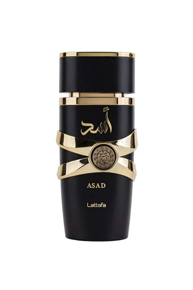 Asad by Eau de Parfum, 100 ml - 6