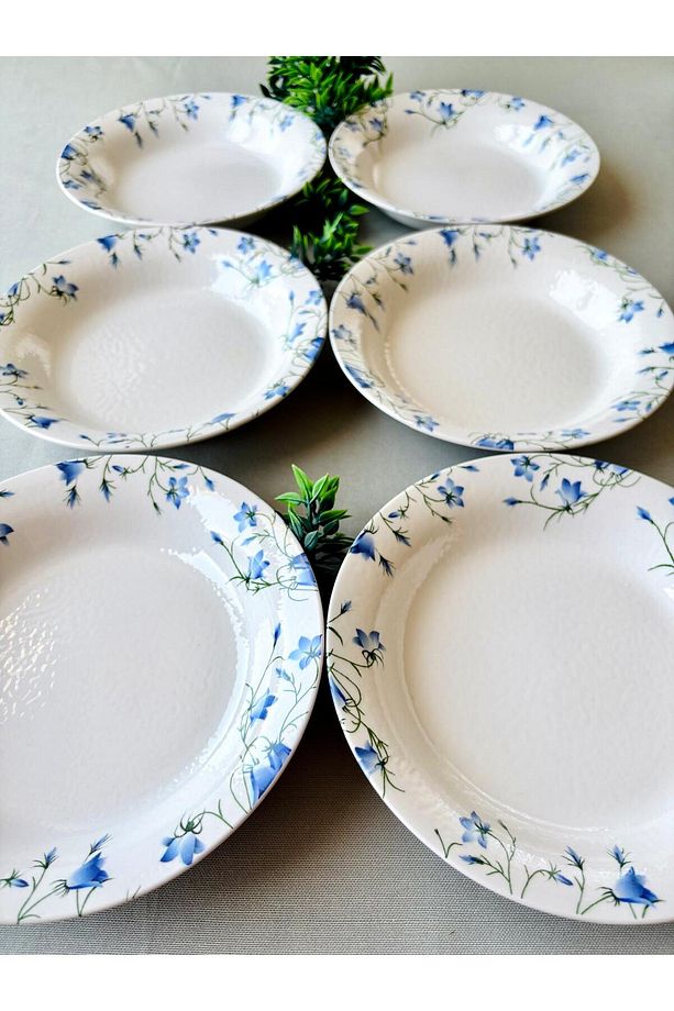 Mavi Çiğdem Model 6 Adet Modern Yemek Tabağı - 3