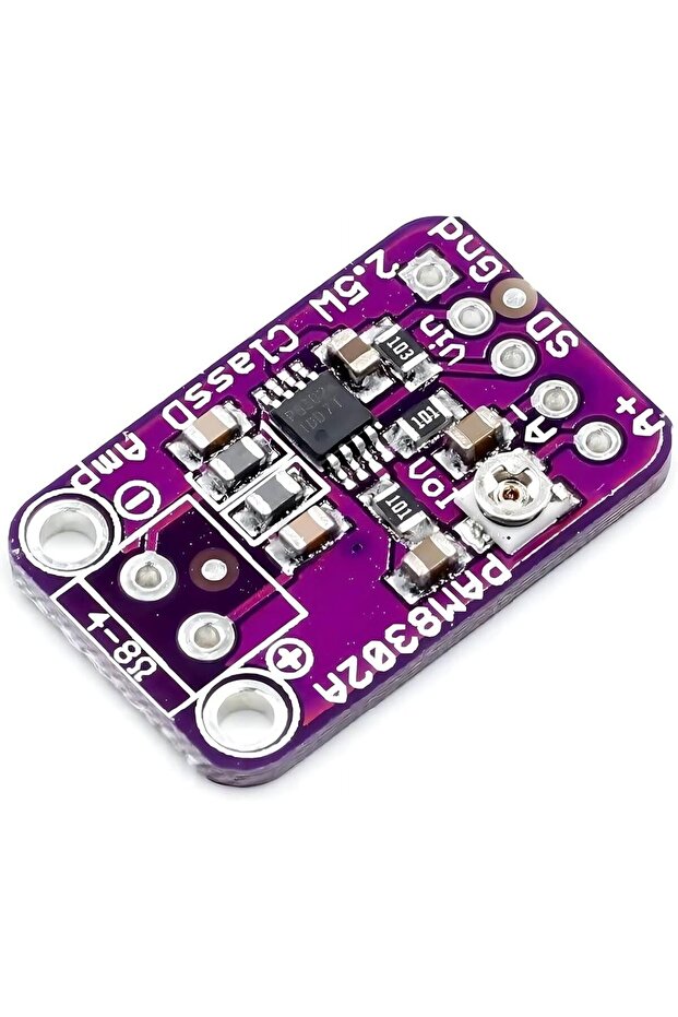 PAM8302 2.5W AMPLİFİER BOARD