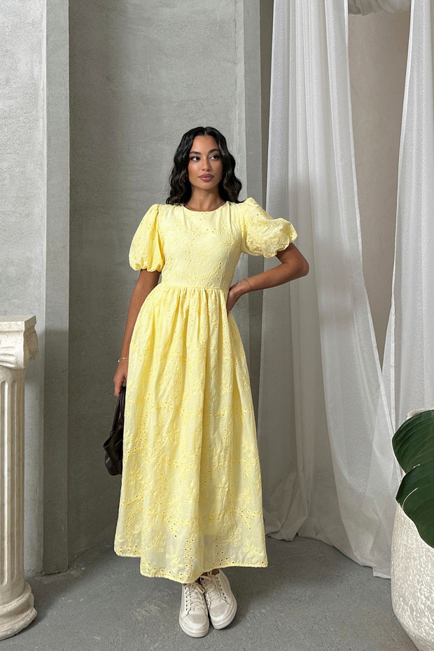 Imported Special Design Elastic Waist Tie-Back Detail Floral Pattern Premium Eyelet Embroidery Dress