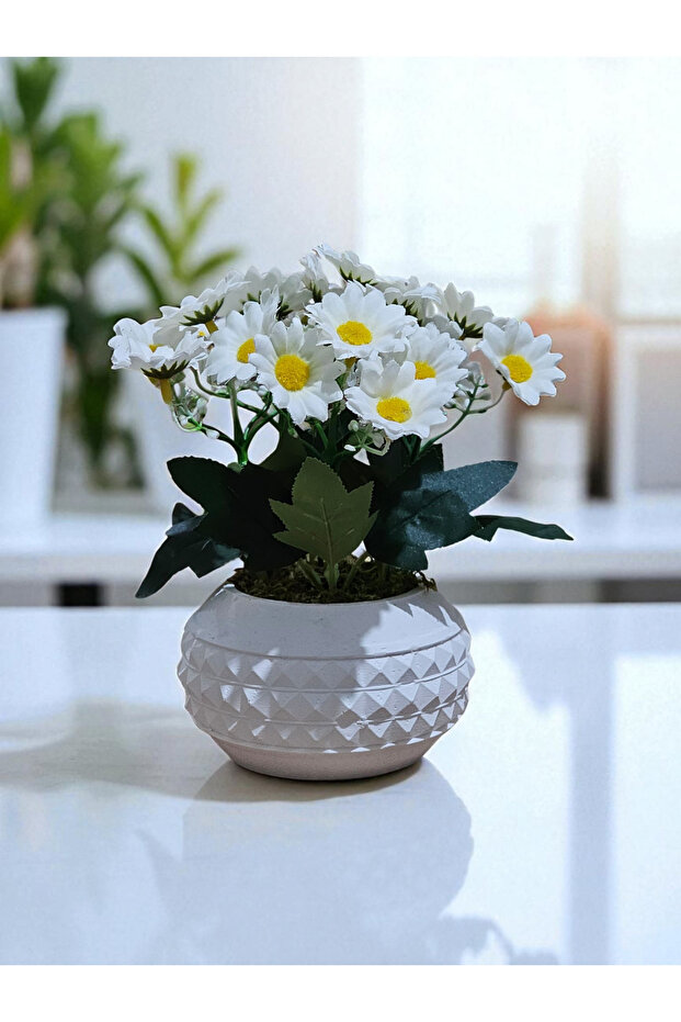 Artificial Fully Filled Daisy in Concrete Flower Pot (Pot Included)