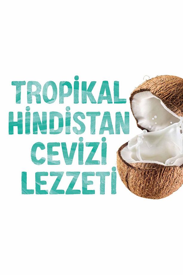 Hindistan Cevizi Sütü 1 L Vegan Laktozsuz Bitkisel Bazlı - 5