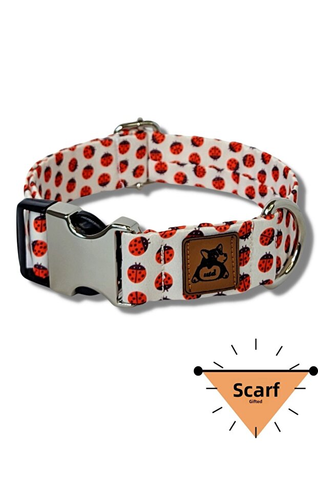 طوق الكلب الدعسوقة - 1