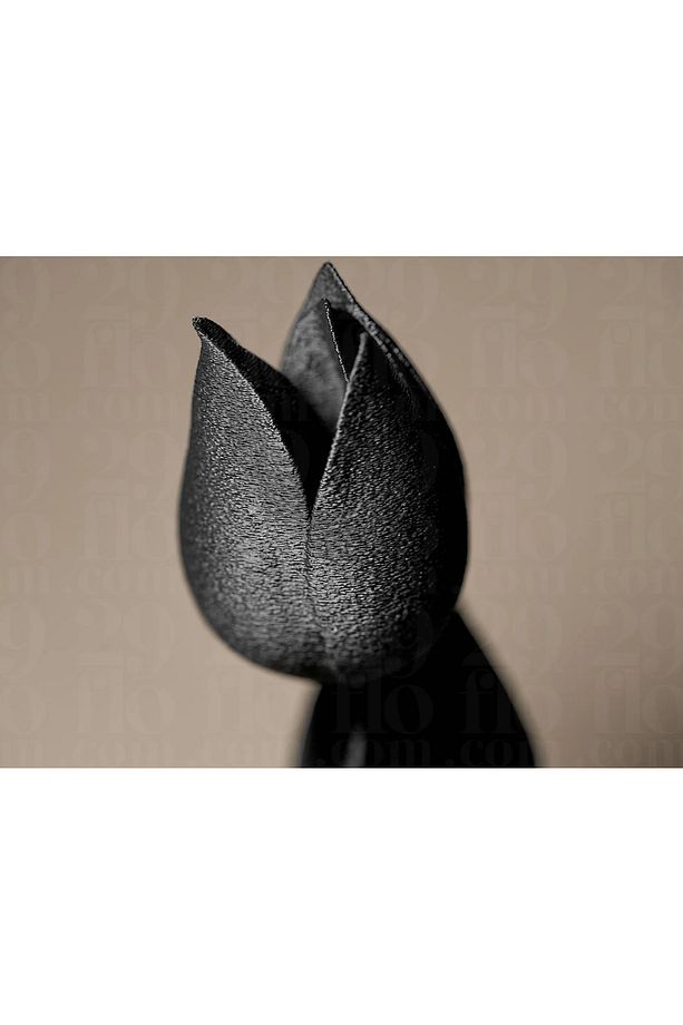 Siyah Lale – Modern Minimal Çiçek Figürü - 3