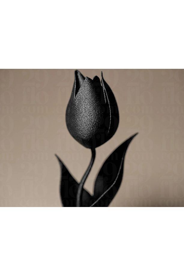 Siyah Lale – Modern Minimal Çiçek Figürü - 5