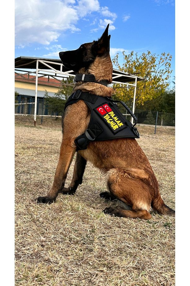 Tactical köpek göğüs tasması - 1