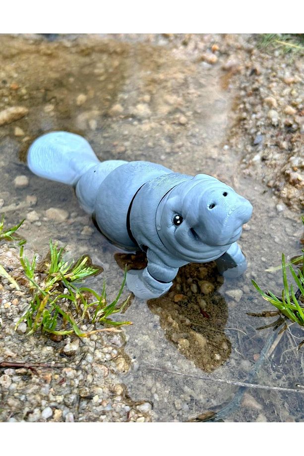 Deniz Ineği Oyuncak - Berrak Suların Zarif Devi Manora 🌊3d Hareketli Organik Vıp Model - Büyük Boy - 2