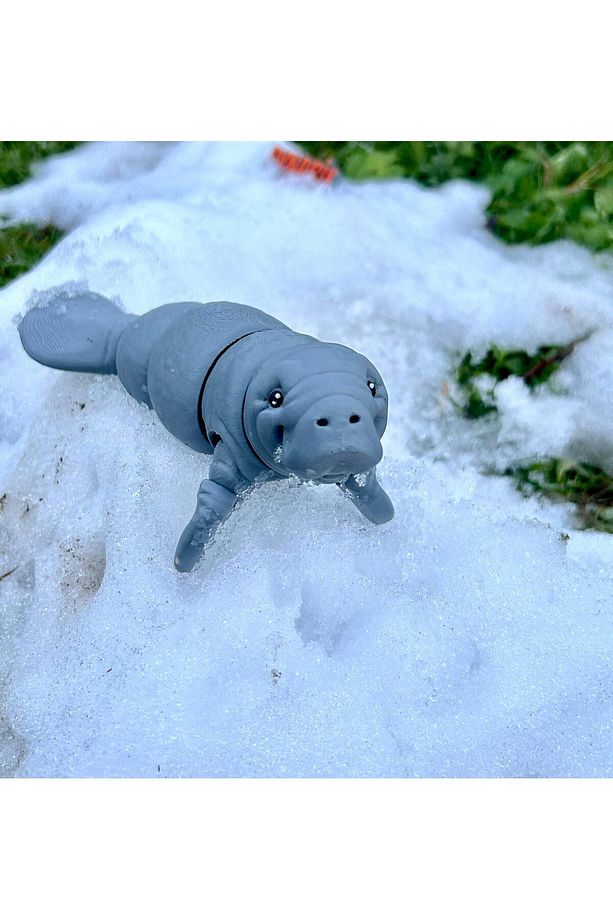 Deniz Ineği Oyuncak - Berrak Suların Zarif Devi Manora 🌊3d Hareketli Organik Vıp Model - Büyük Boy - 6