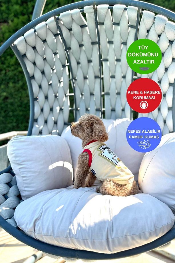 Köpek Elbisesi, Köpek Penye Atlet, Burger Souce Küçük Irk Köpekler - 3