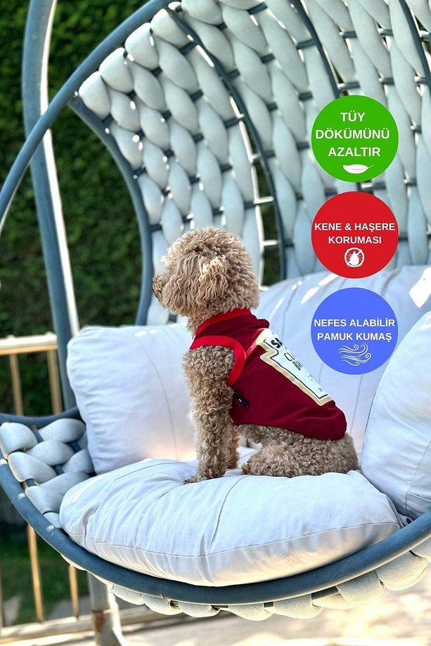 Köpek Elbisesi, Köpek Penye Atlet, Barbeque Souce, Küçük Irk Köpekler - 3