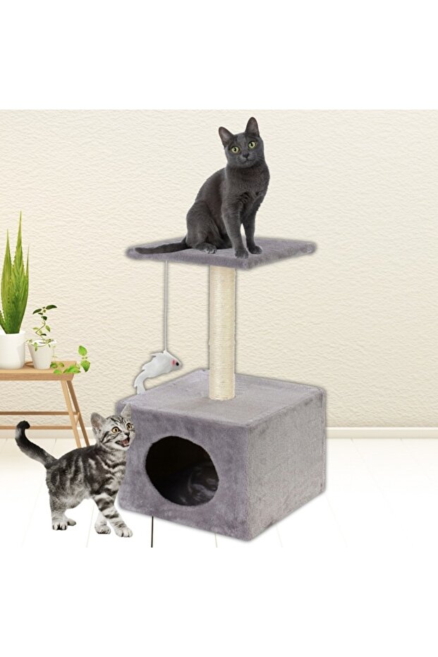 Cat play set, with scratching post, hidden, platform, 62cm, gray - 24