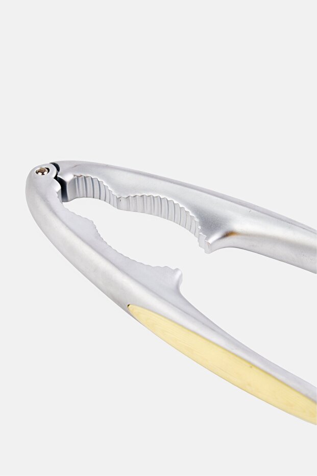 كسارة البندق، فضية - 3